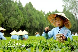 勇士若交易追梦其下家赔率：独行侠+210居首 湖人+300第二